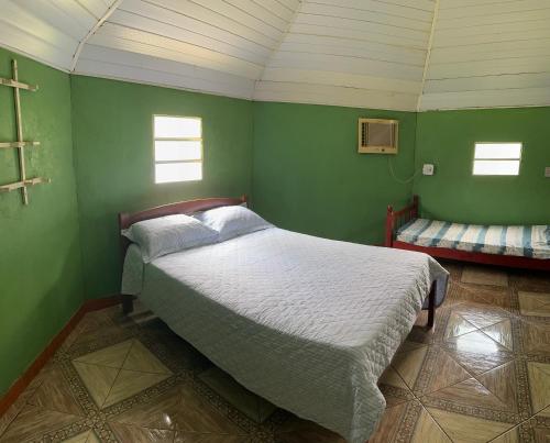 a bedroom with a bed in a green wall at Pousada Araçá Adventure in Sao Pedro