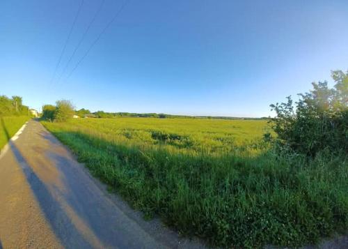 a field of grass next to a dirt road at Le Quereau in Saint-Macoux