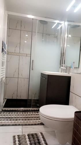 une salle de bain blanche avec toilettes et douche dans l'établissement Cozy and well located apartment, à Tremblay-en-France