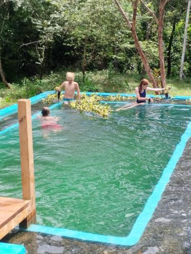 Hosté ubytování Adama Eco Farm