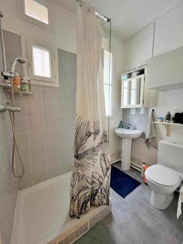 une salle de bain avec une douche avec des toilettes et un lavabo dans l'établissement Chambre Privée - Gentilly - France, à Gentilly