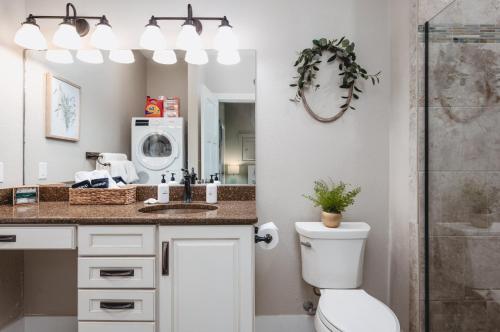 a bathroom with a toilet and a sink and a mirror at Primrose Studio 1BR Studio near Downtown Beaches Wineries in Traverse City