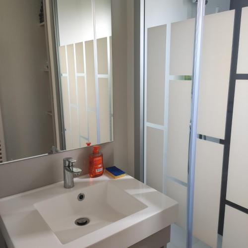 une salle de bain avec un lavabo blanc et un miroir dans l'établissement cottage Landes entre terre et ocean, à Saubrigues
