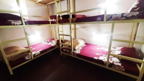 a room with three bunk beds in a room at Gladden Villa in Udaipur