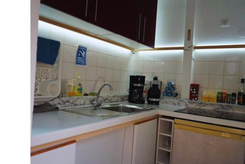 une cuisine avec un évier et un plan de travail dans l'établissement Appartement typique Alsacien, à Strasbourg