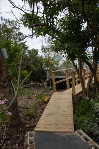 a wooden boardwalk leading to a house in the woods at The Hive - Cloud at Misty Mountain Reserve in Stormsrivier