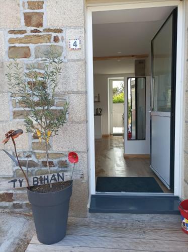 a plant in a pot in front of a door at Ty bihan in Lézardrieux