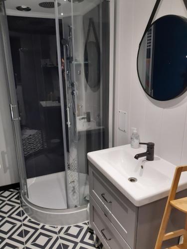 une salle de bain avec une douche, un lavabo et un miroir dans l'établissement 8 seater house near Chinon, à Beaumont-en-Véron