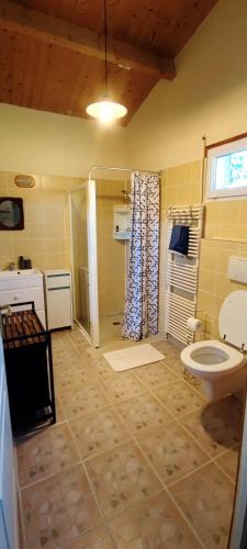 une salle de bain avec toilettes, douche et lavabo dans l'établissement Gite Le Charme Charentais, à Saint-Nazaire-sur-Charente