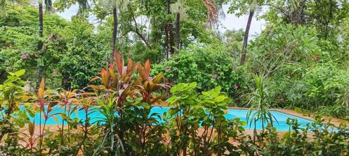 a swimming pool in the middle of a forest at Mimpi Bungalow 3A in Kubutambahan
