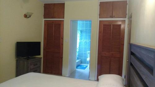 a bedroom with a bed and a television and a bathroom at Zeus Estate Guest House 2 in Grays Hill