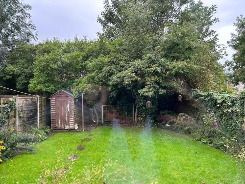 un jardin avec une clôture et un arbre dans l'établissement Cosy 3 bedroom house to rent, à Manchester