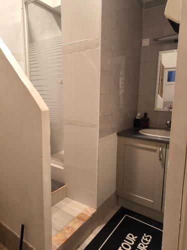 La petite salle de bains est pourvue d'une douche et d'un lavabo. dans l'établissement Le cabanon, à Taglio-Isolaccio