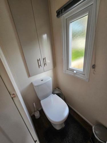 a bathroom with a white toilet and a window at Luxe 4 persoons chalet op 5 sterren camping in Raalte