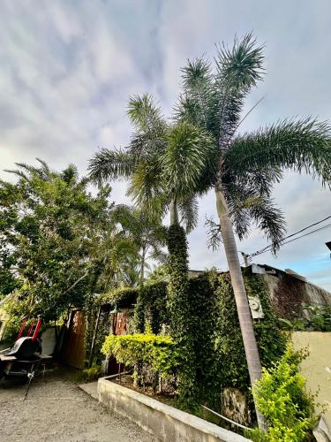 Gallery image of Apartament La Ceiba in La Ceiba
