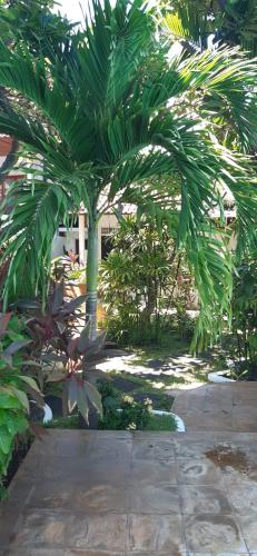 a garden with two palm trees and a patio at Mimpi Bungalow 3A in Kubutambahan