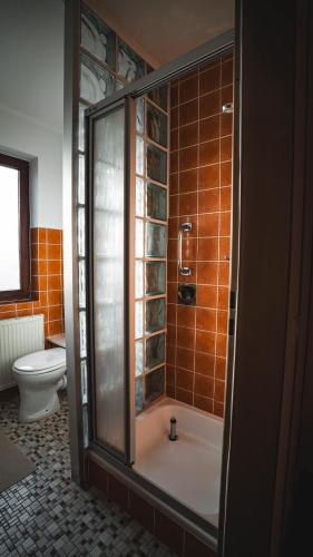 a bathroom with a shower and a toilet at Hotel Resi Beverungen in Beverungen