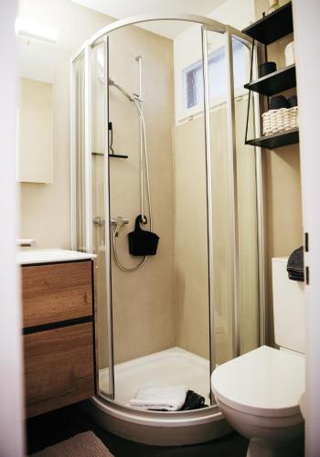 a bathroom with a shower and a toilet at Feel Home Apartments 501 - Seeblick - Bergblick - Parkplatz in Emmetten
