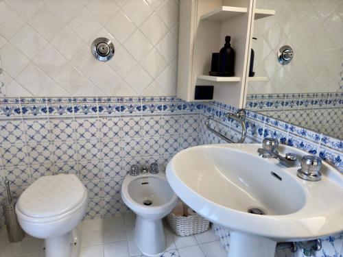 un bagno blu e bianco con un water e un lavandino di Corte Lucchese - Lucca in 10 minuti a Lucca