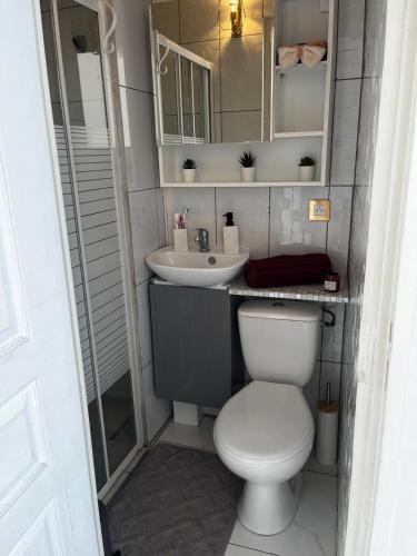 une petite salle de bain avec toilettes et lavabo dans l'établissement Maison de ville, à Beauvais