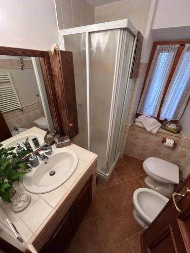 a bathroom with a sink and a shower and a toilet at La Casa nel Borgo - Licenza in Licenza