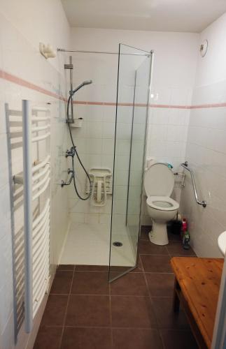 La salle de bains est pourvue de toilettes et d'une cabine de douche en verre. dans l'établissement appartement avec vue sur le lac et les montagnes, aux Angles
