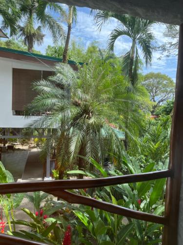 Un jardín fuera de Hotel Entre Dos Aguas