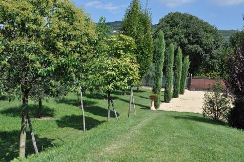 Agriturismo Corte Moranda – Photos 5