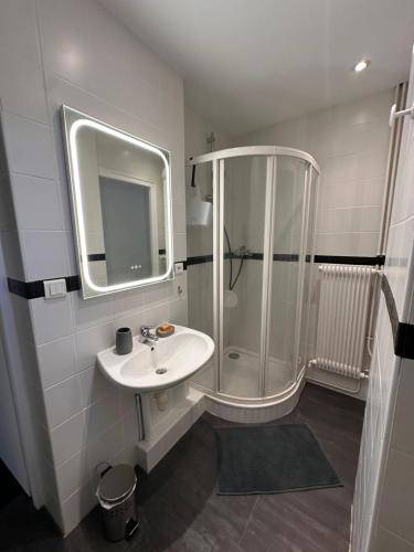 une salle de bain avec une douche, un lavabo et un miroir dans l'établissement Appartement tout confort Besançon bordure de boucle, à Besançon