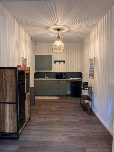 une grande chambre avec une cuisine et un plafond dans l'établissement Appartement tout confort Besançon bordure de boucle, à Besançon