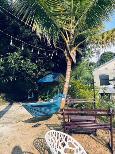 a hammock and a bench and a palm tree at Greenwoods Munnar Unmarried Allowed in Munnar