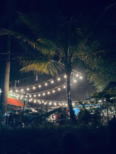 a string of lights hanging from a palm tree at night at Greenwoods Munnar Unmarried Allowed in Munnar