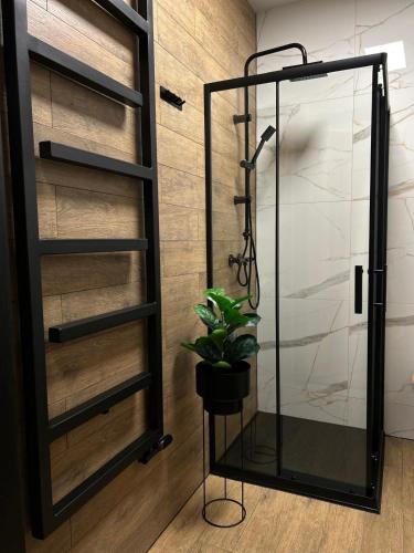 a shower with a glass door and a potted plant at Loft House in Nowy Targ