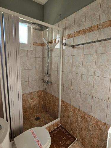 a bathroom with a shower and a toilet at Tania Apartments in Leptokaria