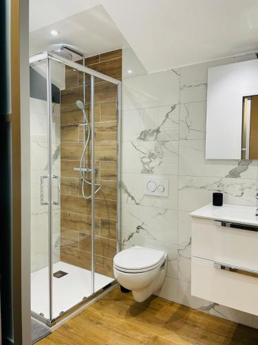 une salle de bain avec toilettes et douche dans l'établissement Magnifique appartement rénové Rez-de chaussée Parking Wifi, à Sospel