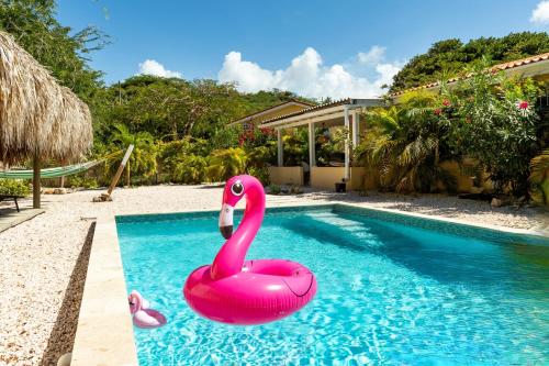 a pink flamingo in a swimming pool at Villa Dushi Arembos, 6 persons, private pool, comfortable car, tropical garden in Grote Berg
