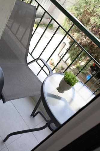 a plant sitting on a table in front of a window at #7 Ioanna Apartments in Thessaloniki