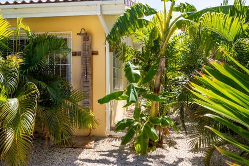 a yellow house with palm trees in front of it at Villa Dushi Arembos, 6 persons, private pool, comfortable car, tropical garden in Grote Berg