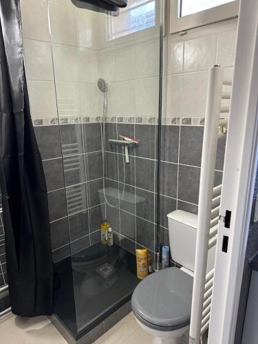 une petite salle de bain avec douche et toilettes dans l'établissement Sanary Villa club avec terrasse, à Sanary-sur-Mer