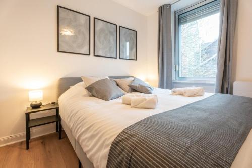 - une chambre avec un lit avec deux oreillers et une fenêtre dans l'établissement Great free Mulhouse center apartment, à Mulhouse