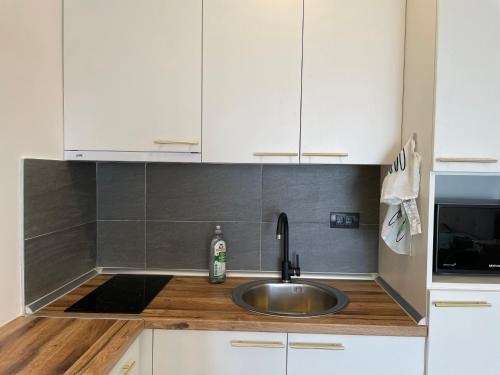 科帕奥尼克Residence Hills Lux Hotels & Spa Kopaonik的带水槽和白色橱柜的厨房