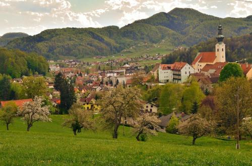 a small town in a green field with a church at Holidayapartement Sentjur 2 pers in Šentjur
