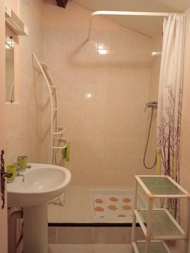 une salle de bain avec un lavabo et une douche dans l'établissement Gîtes Chez Belliveau, à Meursac
