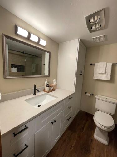 a bathroom with a sink and a toilet and a mirror at Newly Renovated Ski In Ski Out 2BR Condo in Crested Butte