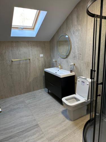 a bathroom with a toilet and a sink and a mirror at Casa Dana in Iaşi
