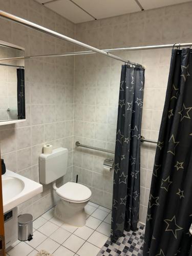 a bathroom with a toilet and a shower curtain at Ferienhaus Alte Bank in Göcklingen in Göcklingen