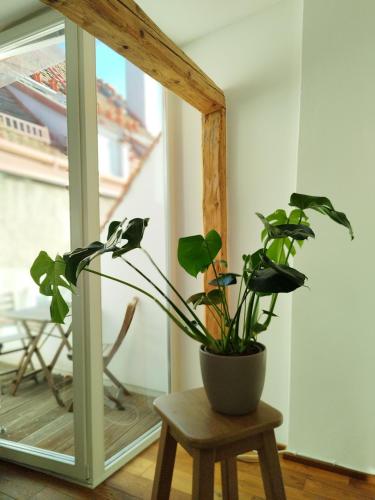 a potted plant sitting on a stool next to a window at Goldene Pastete - Urban Luxury Apartments City Center in Graz