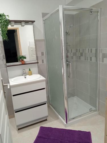 une salle de bain avec une douche, un lavabo et un miroir dans l'établissement Maison avec jardin clos, proche du zoo de Beauval et des Châteaux de la Loire, à Meusnes