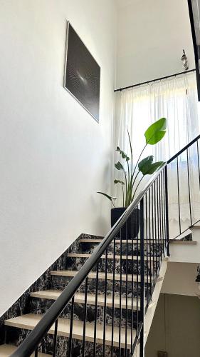a staircase with a plant in a room with a window at 2-bedroom apartment ILLARIO - heart of Tuscany - airco & free parking in Pomarance