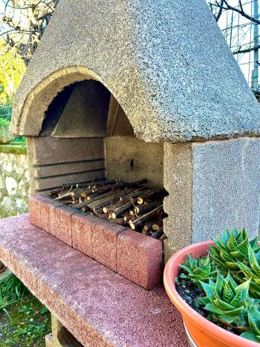 a stone pizza oven sitting next to a plant at 2-bedroom apartment ILLARIO - heart of Tuscany - airco & free parking in Pomarance